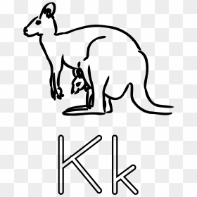 K Is For Kangaroo Clip Arts - Kangaroo Clipart Black And White, HD Png Download - kangaroo png