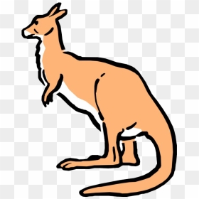 Vector Australian Kangaroo Png Transparent Image - Cartoon Kangaroo, Png Download - kangaroo png