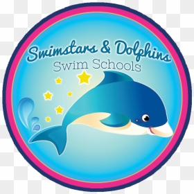 Swimstars And Dolphins Doncaster, HD Png Download - dolphins png