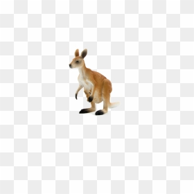 Kangaroo Png , Png Download - Imagenes Png De Animale, Transparent Png - kangaroo png