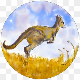 Kangaroo , Png Download - Kangaroo, Transparent Png - kangaroo png