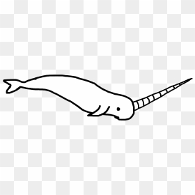 The Newest Narwhal Stickers On Picsart - Narwhal Clipart Black And White, HD Png Download - narwhal png