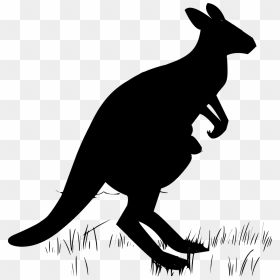 Transparent Wallaby Silhouette, HD Png Download - kangaroo png