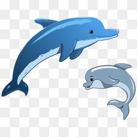 Dolphin Facts 10 Fun Facts About Dolphins - Sea Animals Dolphin, HD Png Download - dolphins png