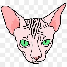 Sphynx Cat Head Png, Transparent Png - sphinx png