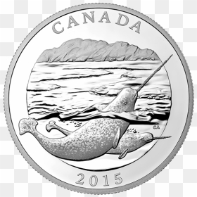 Coin With Narwhal In Canada, HD Png Download - narwhal png