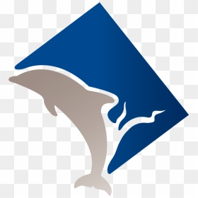 Pcdp Logo Fill, HD Png Download - dolphins png