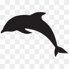 Water, Silhouette, Dolphin, Jumping, Animal, Fins - Dolphin Silhouette Clip Art, HD Png Download - dolphins png
