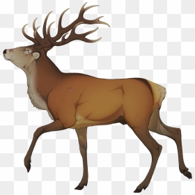 Elk Clipart Golden Deer - Elk Clipart, HD Png Download - elk png