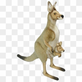 Kangaroo Png Download - Kangaroo, Transparent Png - kangaroo png