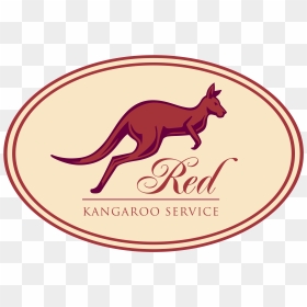 Red Kangaroo, HD Png Download - kangaroo png