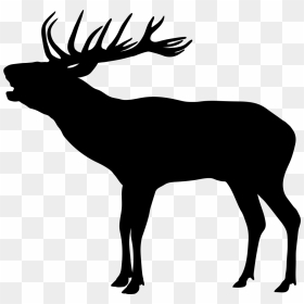 Elk Red Deer Silhouette Reindeer - Red Deer Silhouette Png, Transparent Png - elk png