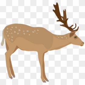 Download Elk Png Images Background - Elk, Transparent Png - elk png
