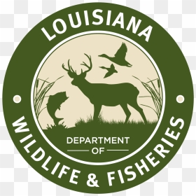 Louisiana Department Of Wildlife And Fisheries Logo, HD Png Download - louisiana png