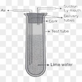 Diagram, HD Png Download - test tube png