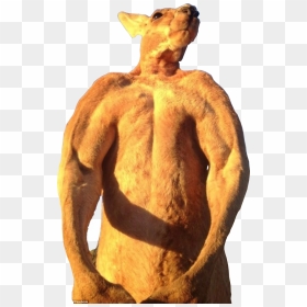 Animalroger The Alpha From The Kangaroo - Cafereisebar, HD Png Download - kangaroo png