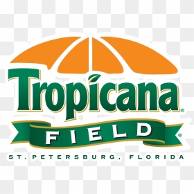 Tampa Bay Rays Logo High Definition Png - Tropicana Field Tampa Bay Rays Stadium, Transparent Png - tampa bay lightning logo png