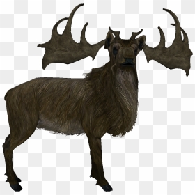 Elk - Grande Ramure Skyrim Id, HD Png Download - elk png