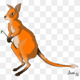 Kangaroo Clipart , Png Download - Kangaroo, Transparent Png - kangaroo png