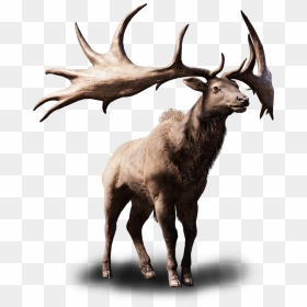 Elk Png Free Background - Elk, Transparent Png - elk png