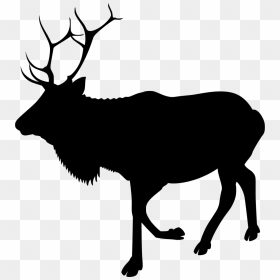 Animated Elk Clipart , Png Download - Elk Clipart Png, Transparent Png - elk png