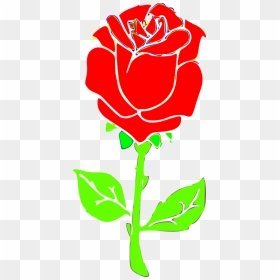 Rosa - Rose Drawing, HD Png Download - rosa png