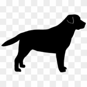 Golden Silhouette Labrador Breed Dog Retriever Clipart - Dog Silhouette Cane Corso, HD Png Download - dog.png