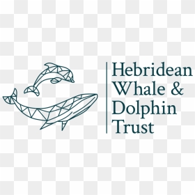 Dolphins Png, Transparent Png - dolphins png