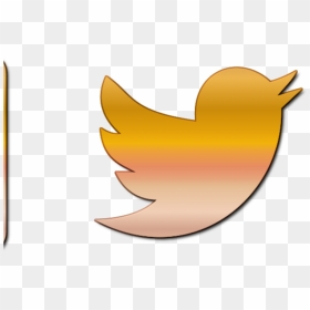 Free Instagram Twitter Facebook Icons - Orange Instagram Facebook And Twitter Logos, HD Png Download - twitter icons png