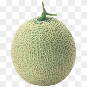 Melon Png Image - Melon Png, Transparent Png - melon png