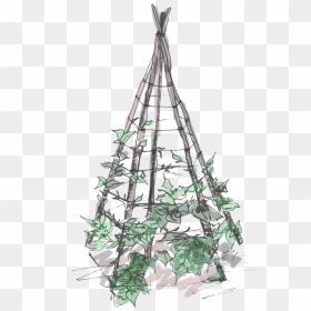 Plant Teepee , Png Download - Christmas Tree, Transparent Png - teepee png