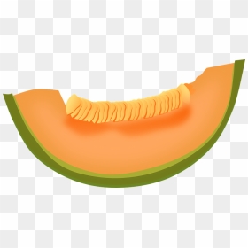 Single Melon Png Image Background - Cantaloupe Clipart, Transparent Png - melon png