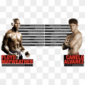 Canelo Vs Mayweather Comparison, HD Png Download - mayweather png