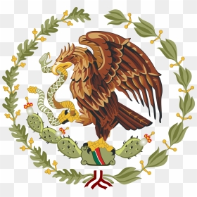 Thumb Image, HD Png Download - bandera de mexico png