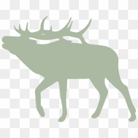 Elk Png, Transparent Png - elk png
