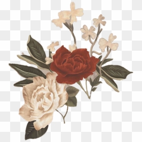 Flower Flowers Flor Flores Png Byjenniebae Byyeonmi - Edit Shawn Mendes Flowers, Transparent Png - shawn mendes png