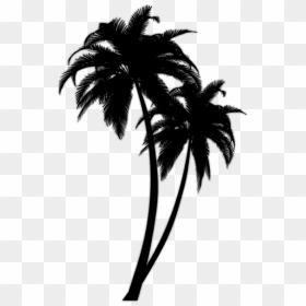 Transparent Palm Tree - Palm Tree Tattoo Design, HD Png Download - tree .png