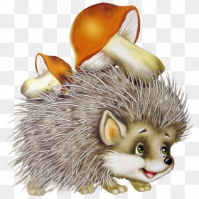 Best Free Hedgehog Png Image Without Background - Ёж Картинка Для Детей, Transparent Png - hedgehog png
