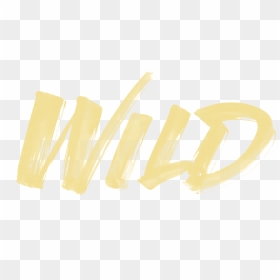 Wild From Troye Sivan - Calligraphy, HD Png Download - troye sivan png