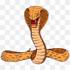 Transparent King Cobra Png - Cobra Clipart, Png Download - cobra png