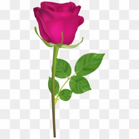 Flower Clipart With Stem Image Freeuse Download Rose - Gulab Ka Phool Hd, HD Png Download - flower stem png