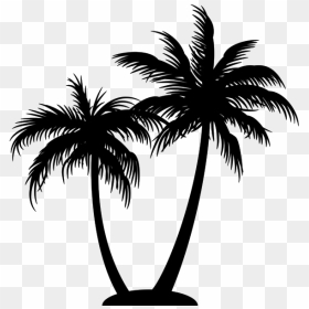 Silhouette Coconut Tree Png - Black Coconut Tree Png, Transparent Png - tree .png