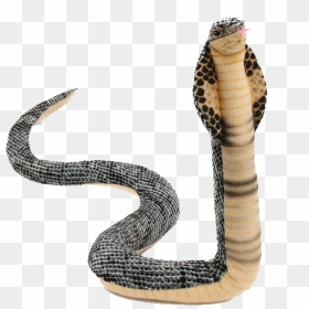 Cobra Png Transparent Image - King Cobra Snake Stuffed Animal, Png Download - cobra png