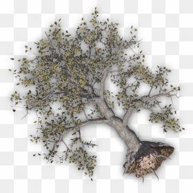 Uprooted Tree Png Transparent, Png Download - tree .png