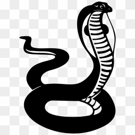 Black Cobra Snake Clipart , Png Download - Cobra Snake Clipart Black And White, Transparent Png - cobra png