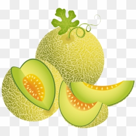 Melon Illustration Green Transprent Png Free Download - Melon Clipart, Transparent Png - melon png