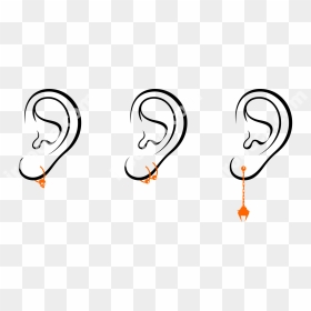 There Are Different Variants Of Ear Piercing - Ears With Earrings Clipart, HD Png Download - piercing png