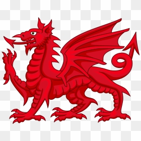 Coat Of Arms Dragons Png - Welsh Dragon Png Transparent, Png Download - red dragon png