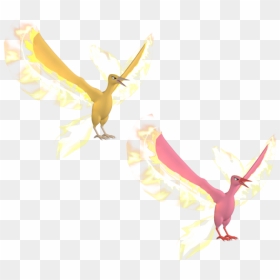 Flock, HD Png Download - moltres png