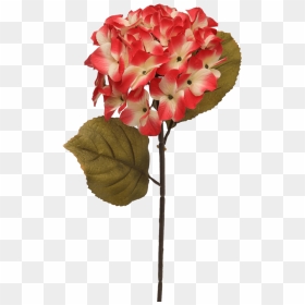 Hydrangea Artificial Flower Stem , Png Download - Crown Of Thorns, Transparent Png - flower stem png